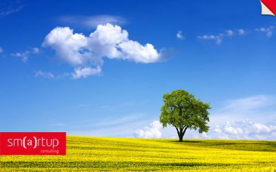Cómo pueden contribuir las Pymes al medio ambiente